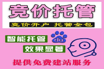 竞价推广代运营助力电商销售额翻倍